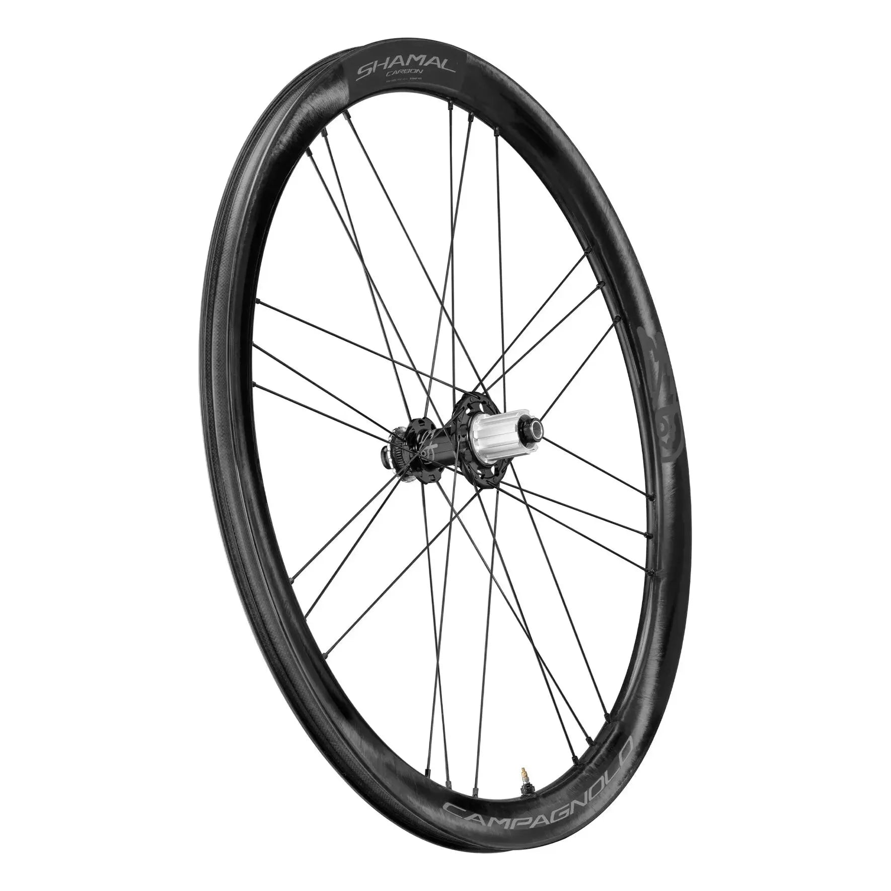 CAMPAGNOLO - SHAMAL CARBON DB גלגלים לאופני כביש