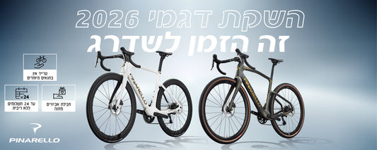 חטיבת הביצועים של ליטלי מציגה - שנת 2026 ה צ ג ה