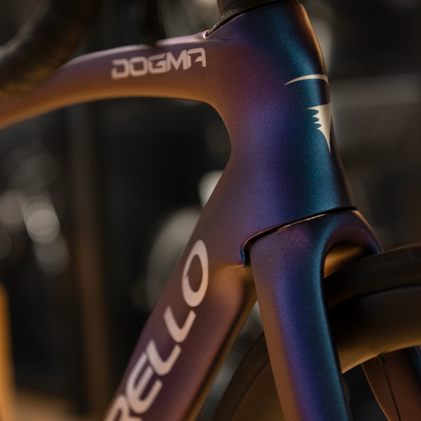 Pinarello Dogma F - Size 55 "MINT CONDITION"