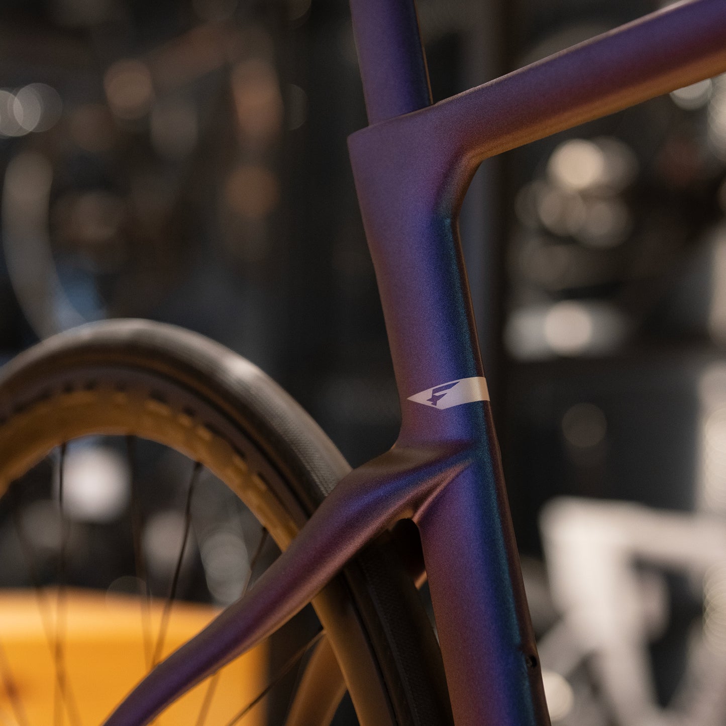 Pinarello Dogma F - Size 55 "MINT CONDITION"