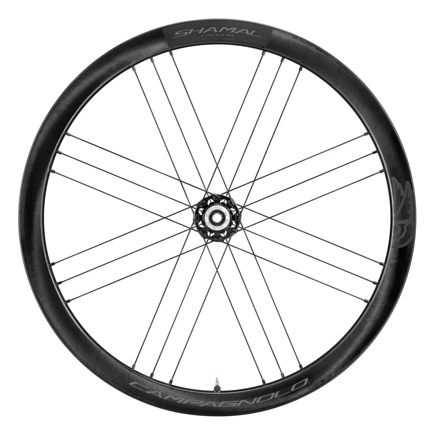 CAMPAGNOLO - SHAMAL CARBON DB  גלגלים לאופני כביש